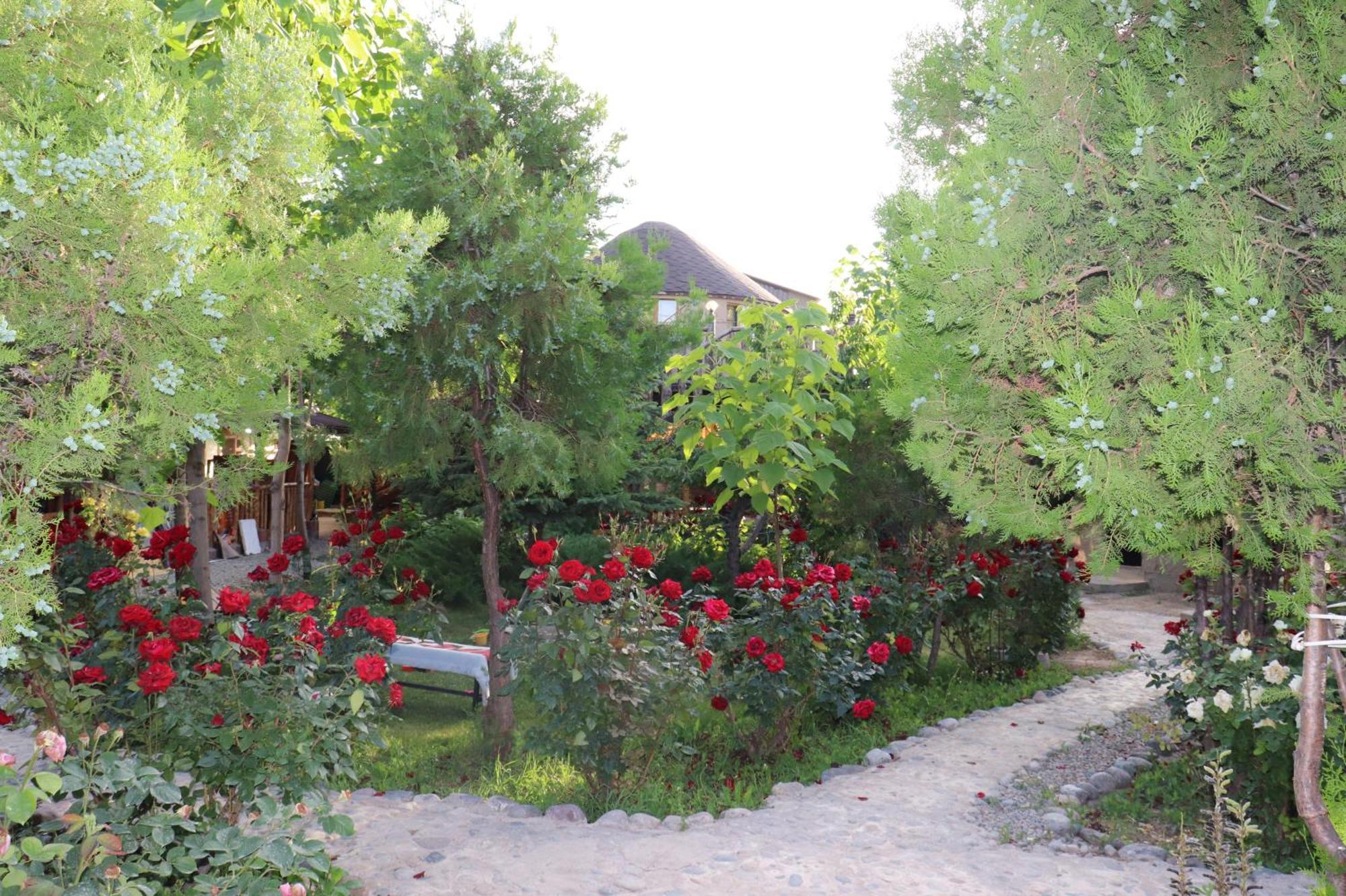 Happy Nomads Yurts & Hostel Каракол Екстериор снимка