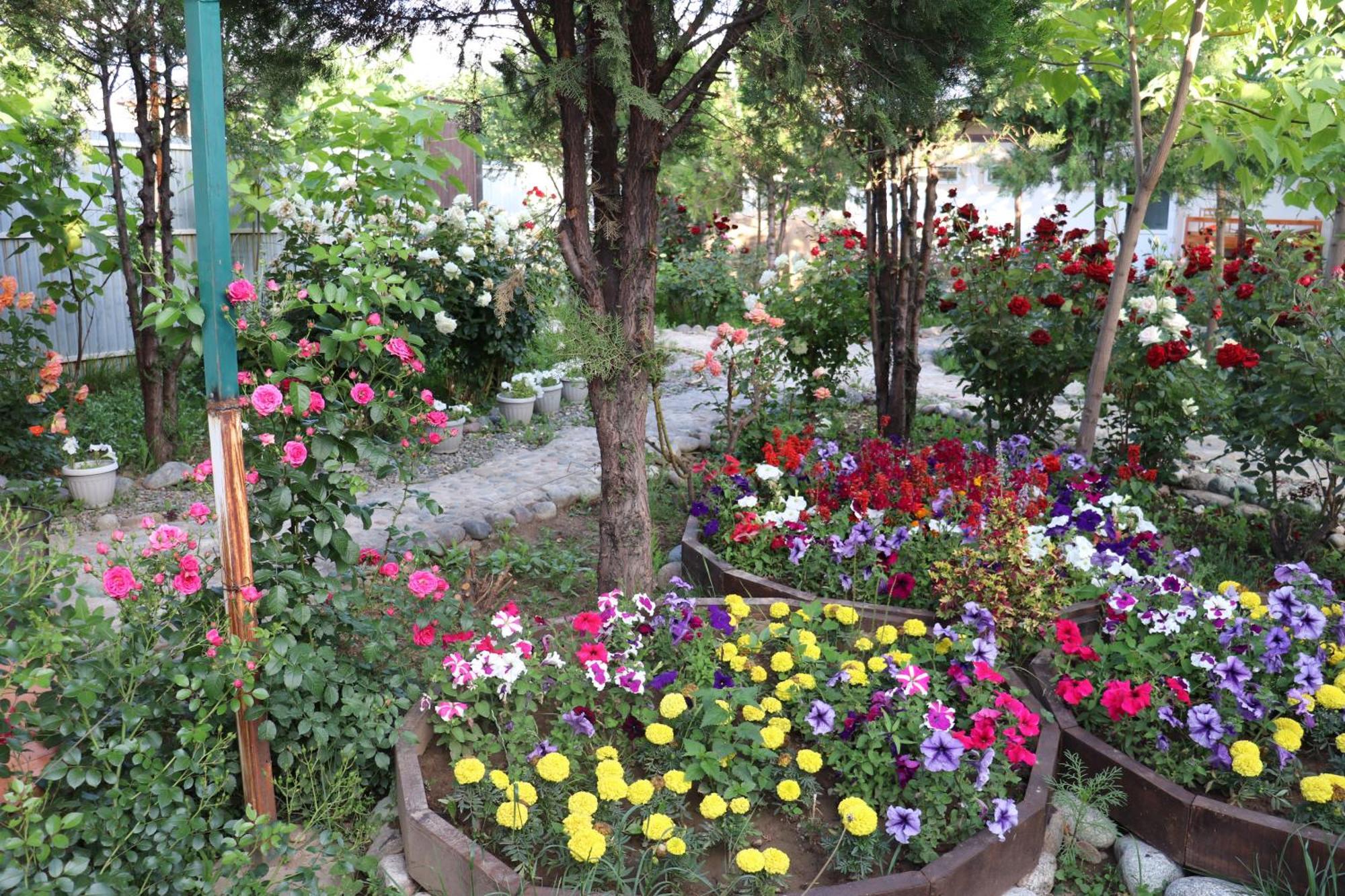 Happy Nomads Yurts & Hostel Каракол Екстериор снимка