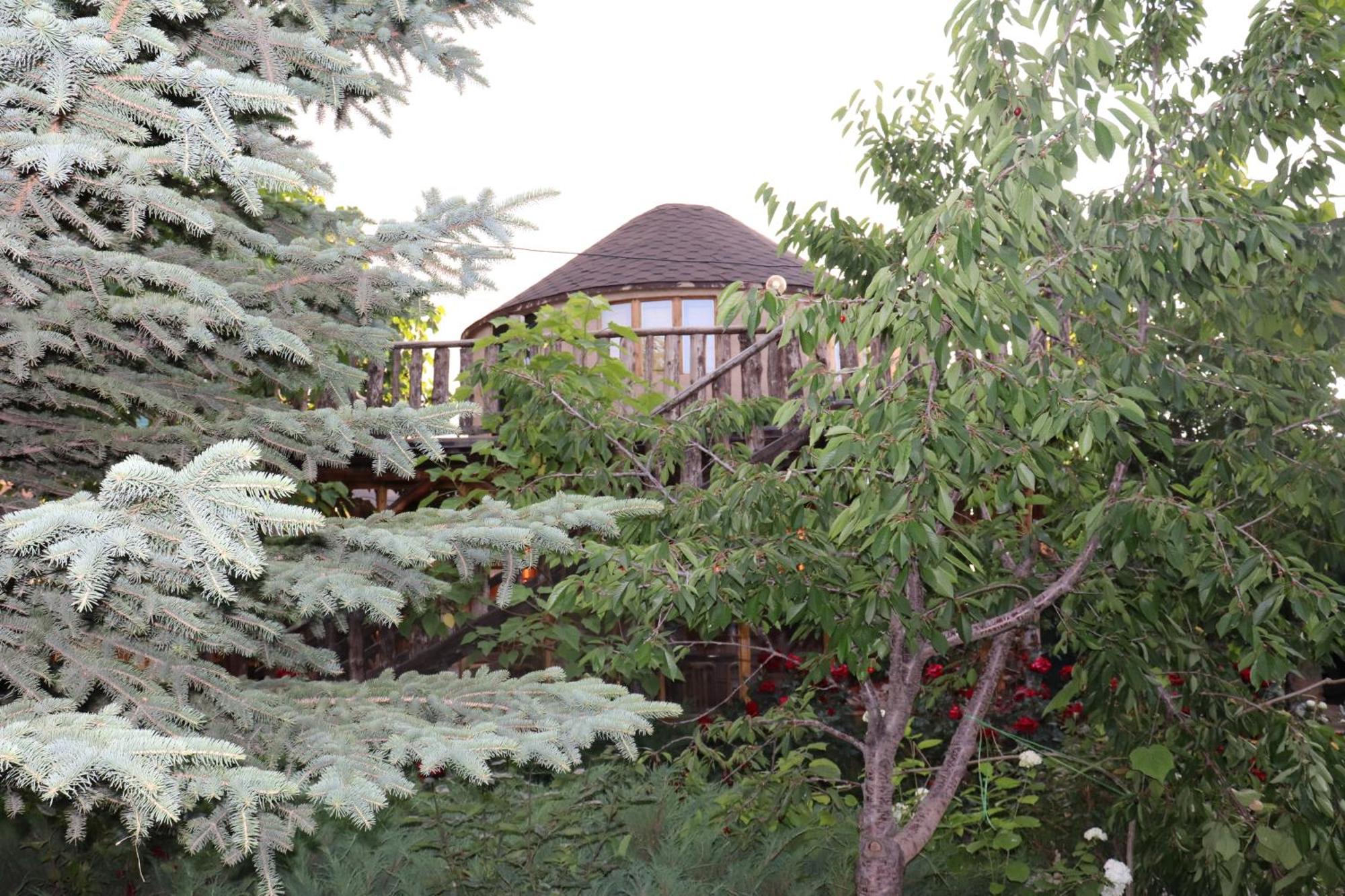 Happy Nomads Yurts & Hostel Каракол Екстериор снимка