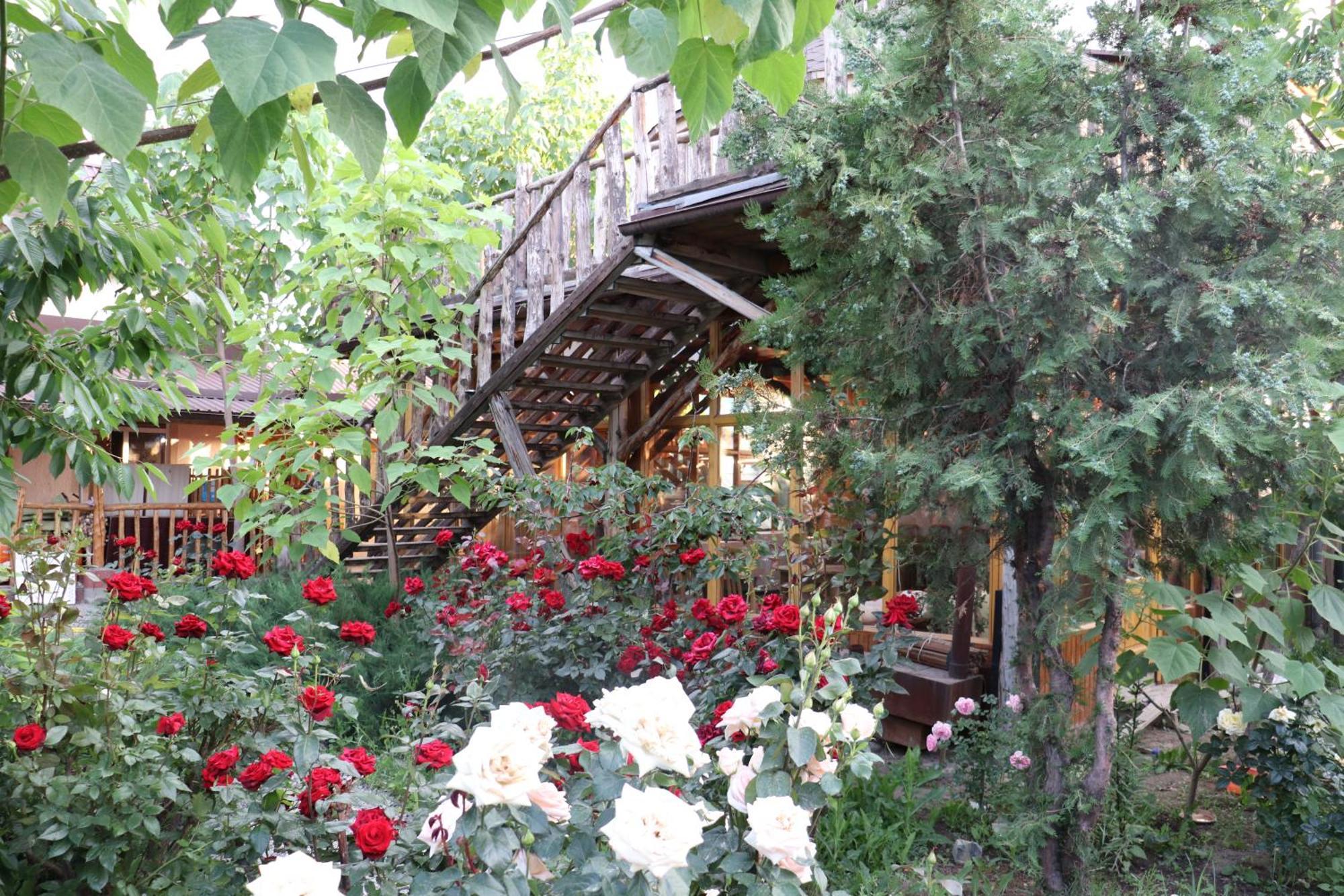 Happy Nomads Yurts & Hostel Каракол Екстериор снимка