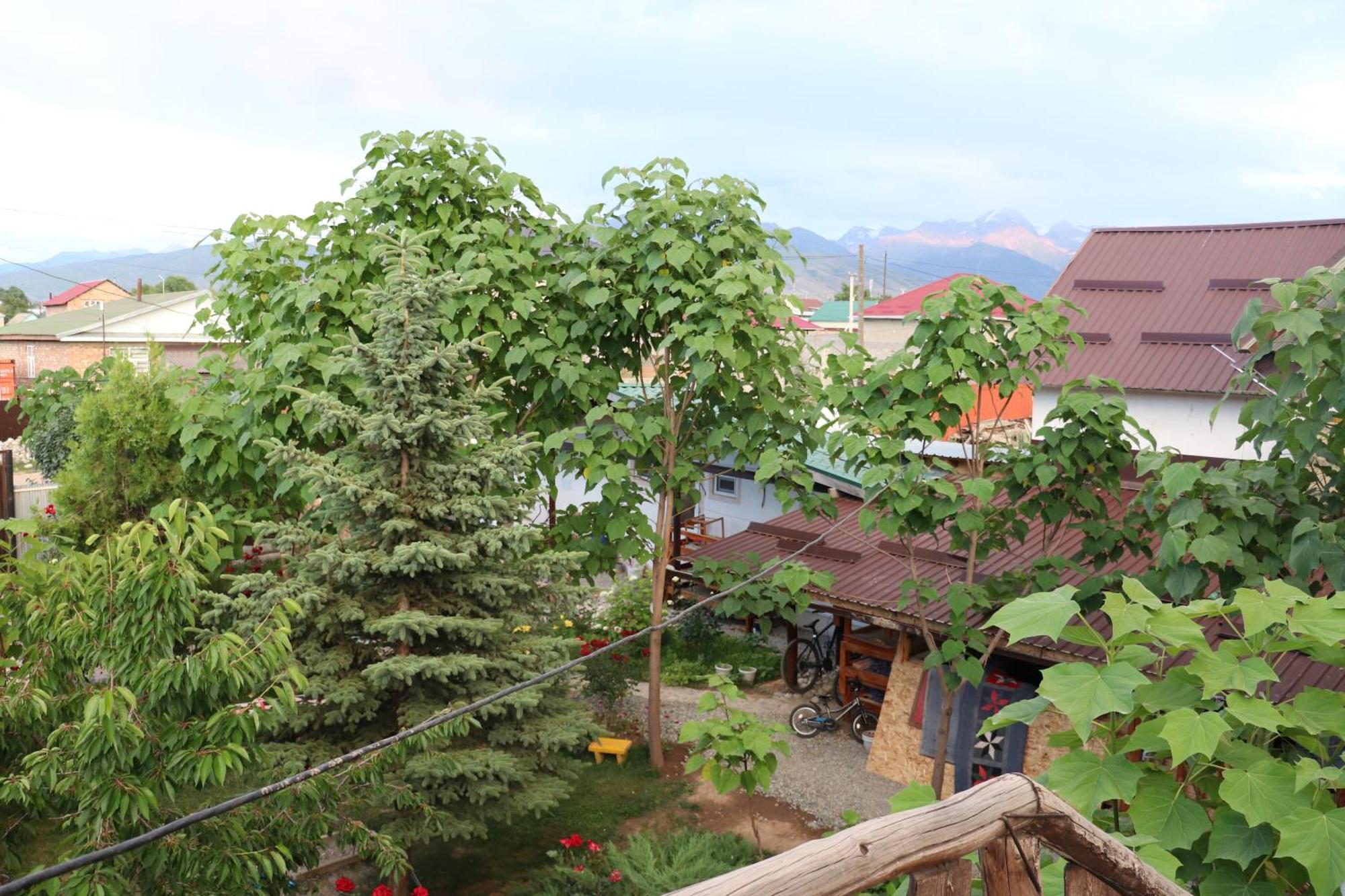 Happy Nomads Yurts & Hostel Каракол Екстериор снимка