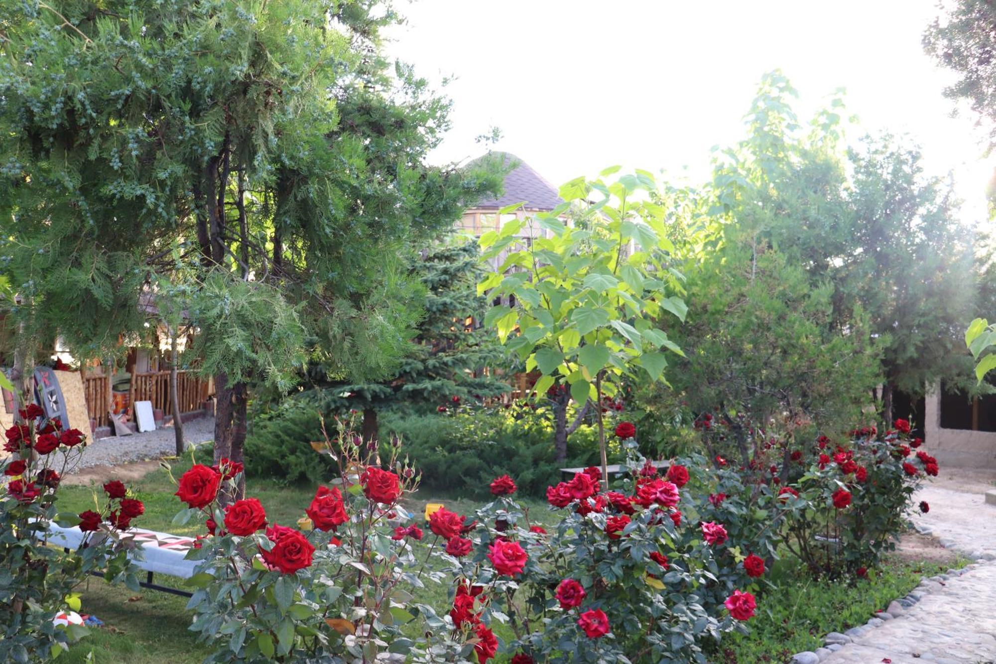 Happy Nomads Yurts & Hostel Каракол Екстериор снимка