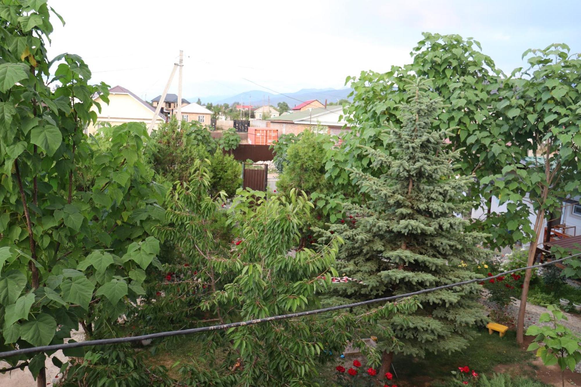 Happy Nomads Yurts & Hostel Каракол Екстериор снимка