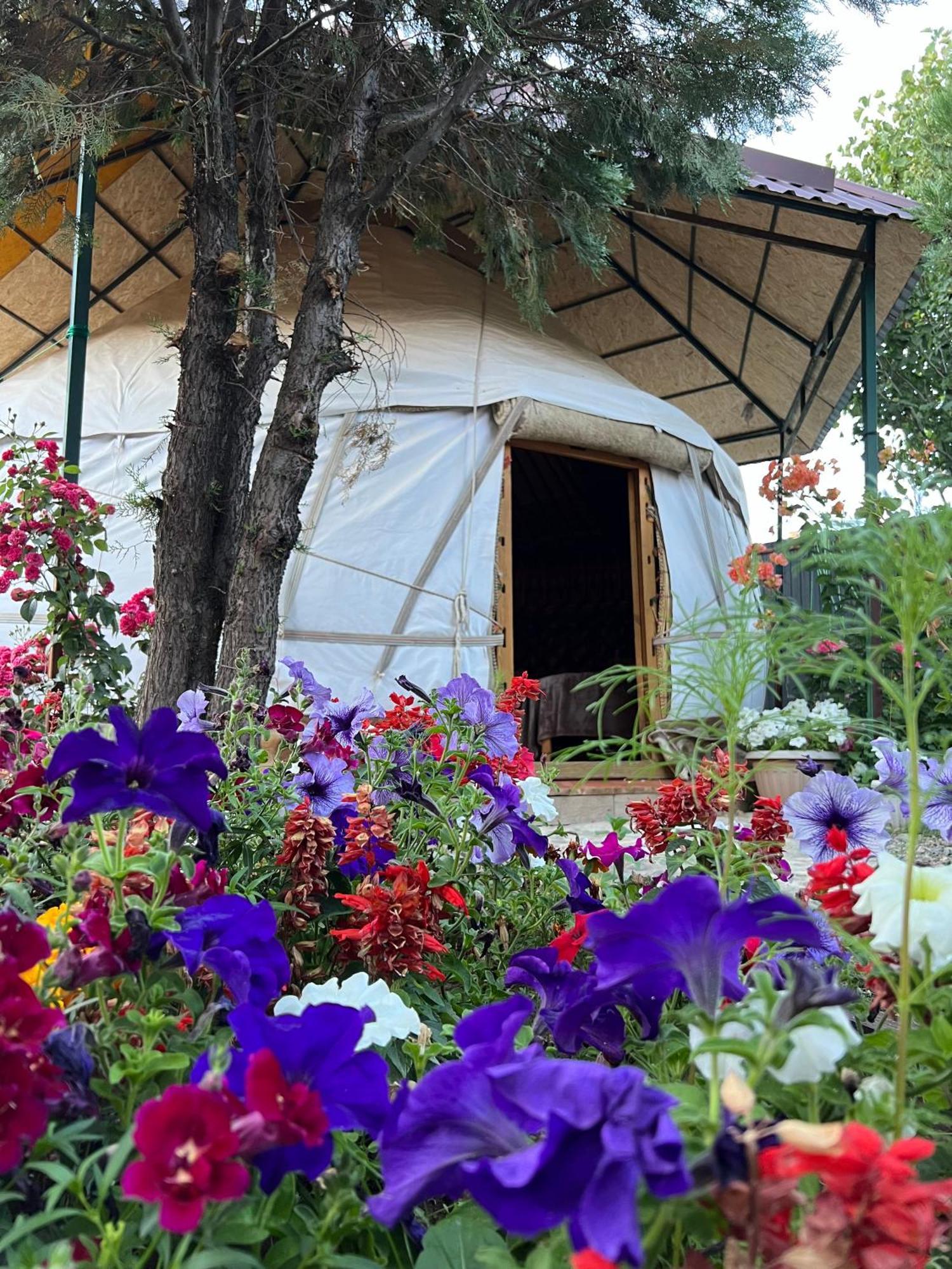 Happy Nomads Yurts & Hostel Каракол Екстериор снимка