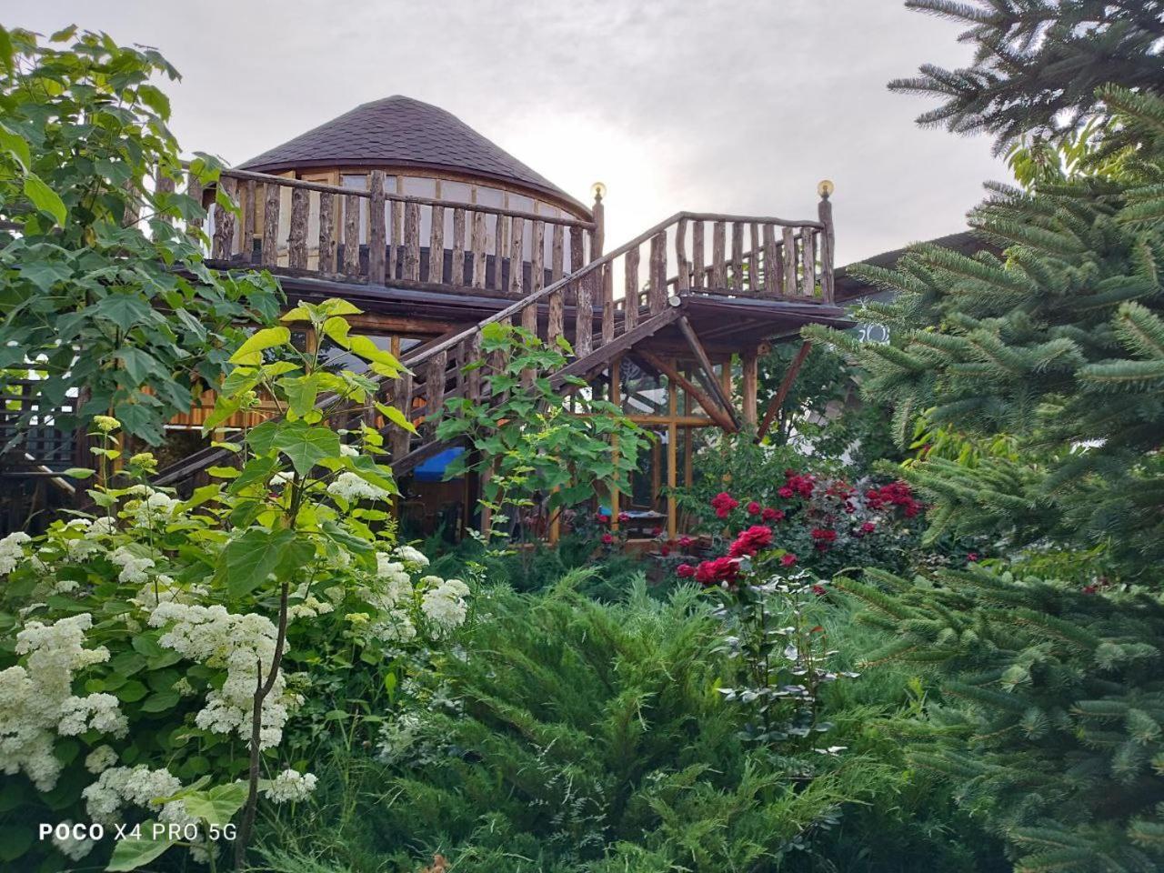 Happy Nomads Yurts & Hostel Каракол Екстериор снимка