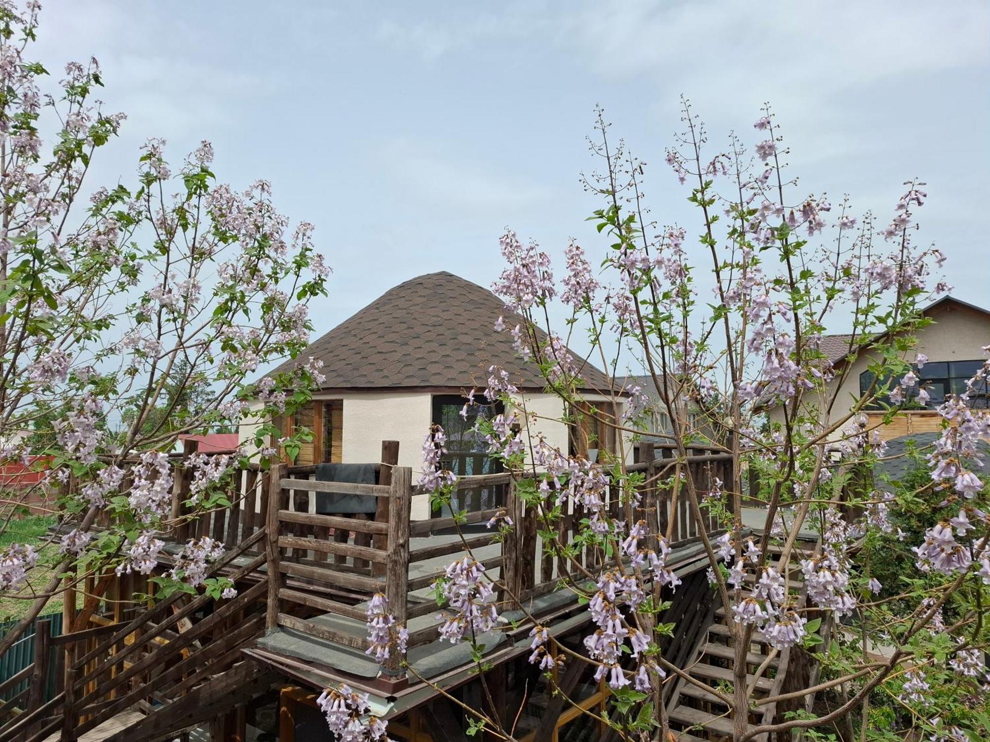 Happy Nomads Yurts & Hostel Каракол Екстериор снимка